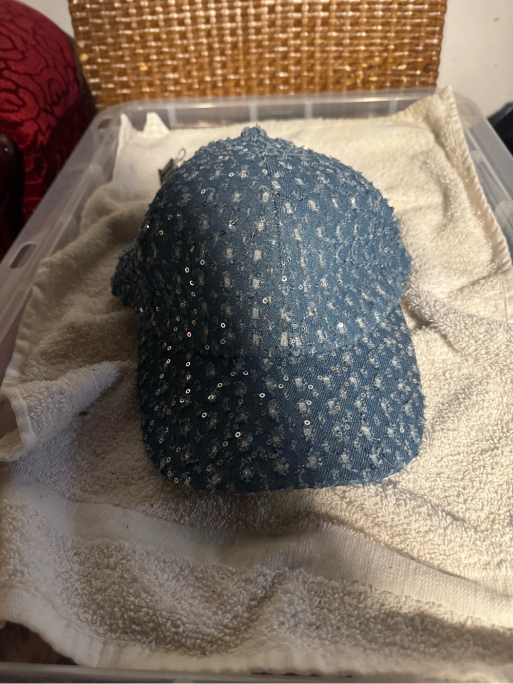 Blue Sequin Baseball Cap